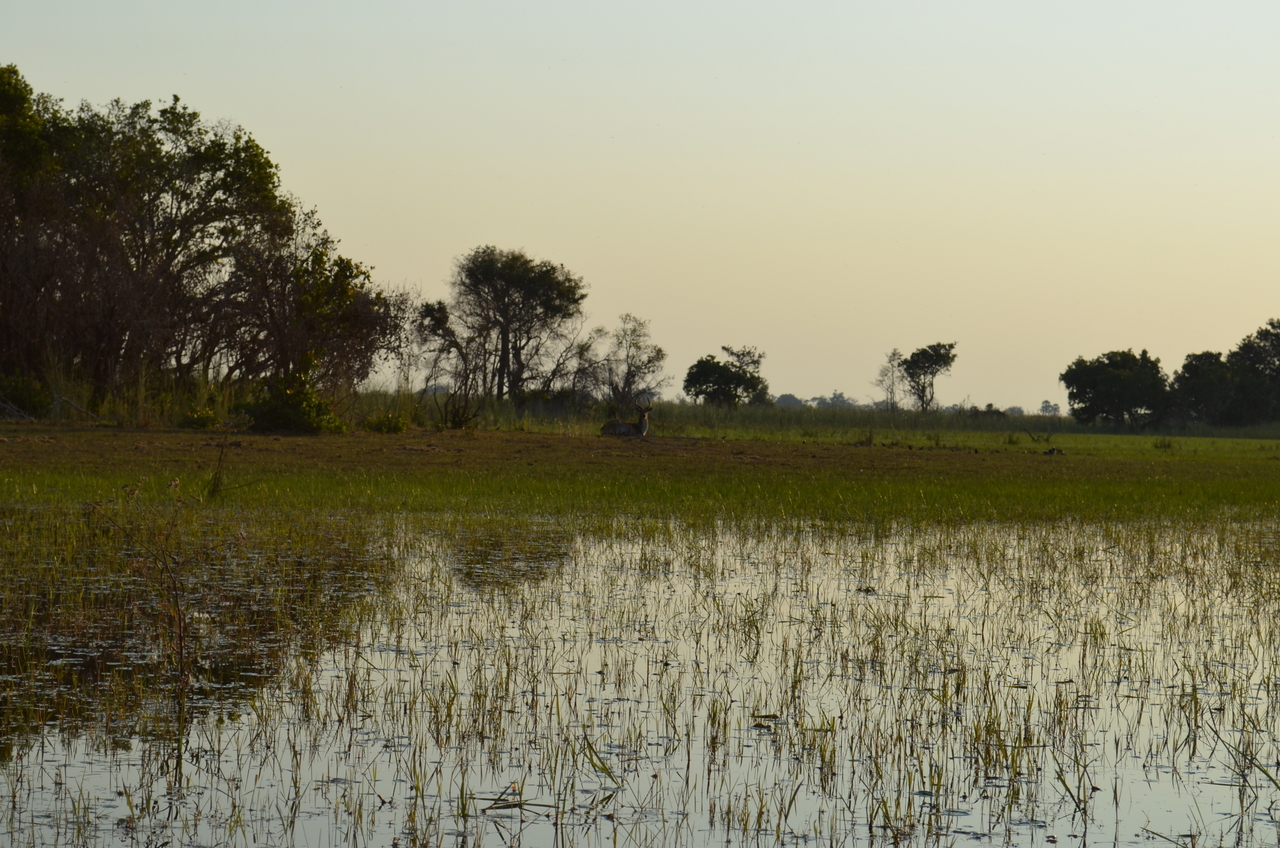 [26856] 2016_07_01_07_19_12_Africa_NIKON_D5100_IMG__00840.jpg