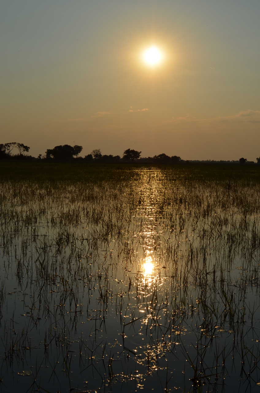 [26859] 2016_07_01_07_21_06_Africa_NIKON_D5100_IMG__05463.jpg
