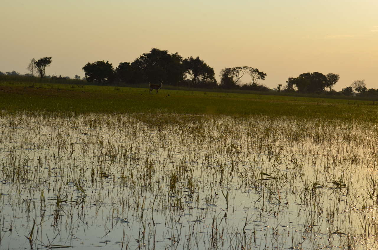 [26871] 2016_07_01_07_22_35_Africa_NIKON_D5100_IMG__05469.jpg