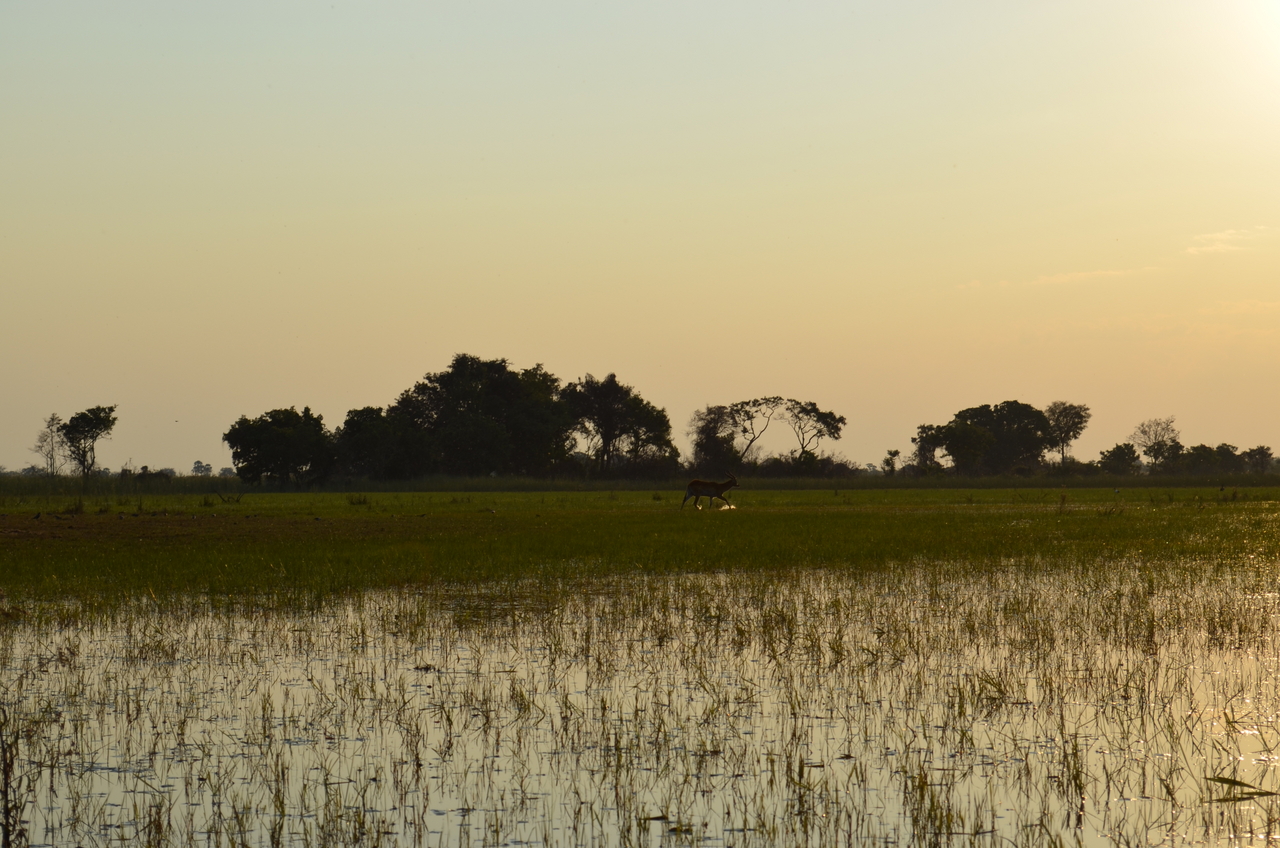 [26873] 2016_07_01_07_22_50_Africa_NIKON_D5100_IMG__05470.jpg