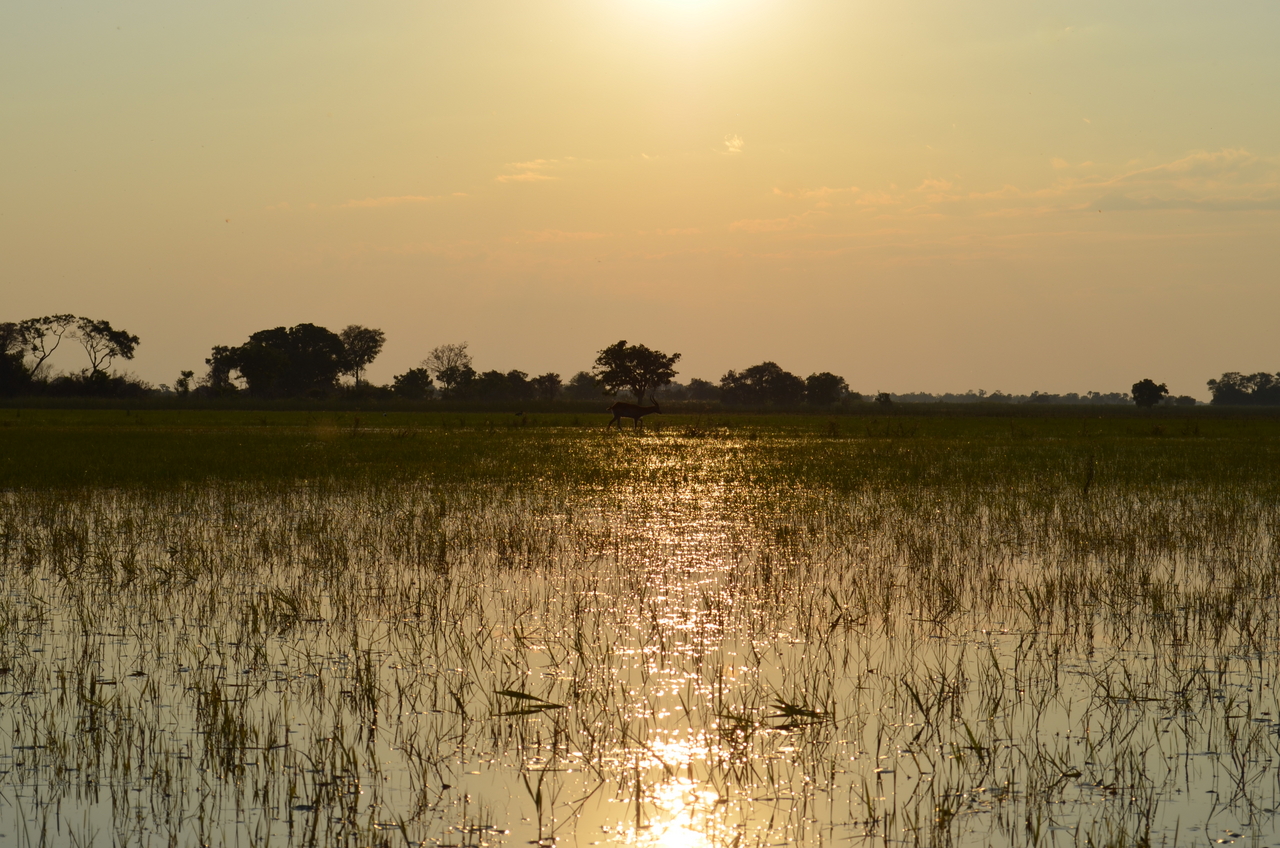[26879] 2016_07_01_07_23_20_Africa_NIKON_D5100_IMG__05473.jpg