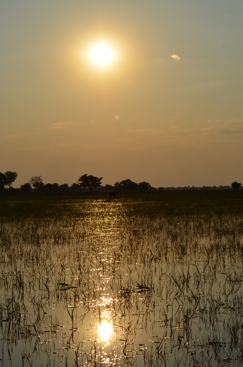 [26880] 2016_07_01_07_23_24_Africa_NIKON_D5100_IMG__00852.jpg