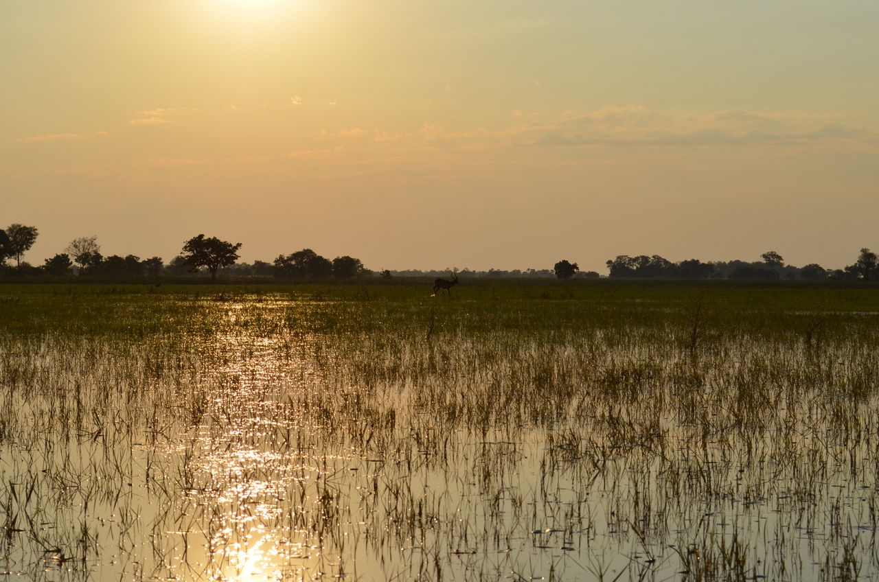 [26885] 2016_07_01_07_23_45_Africa_NIKON_D5100_IMG__05476.jpg