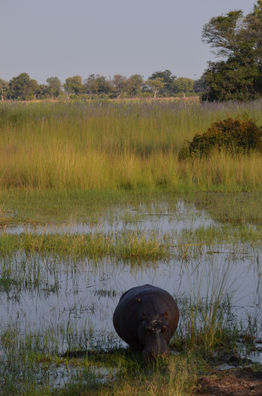 [27509] 2016_07_01_22_58_42_Africa_NIKON_D5100_IMG__05492.jpg