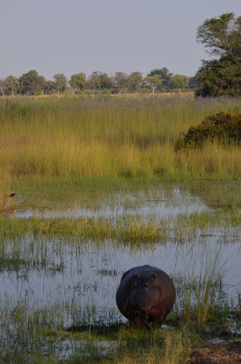 [27510] 2016_07_01_22_58_43_Africa_NIKON_D5100_IMG__00871.jpg