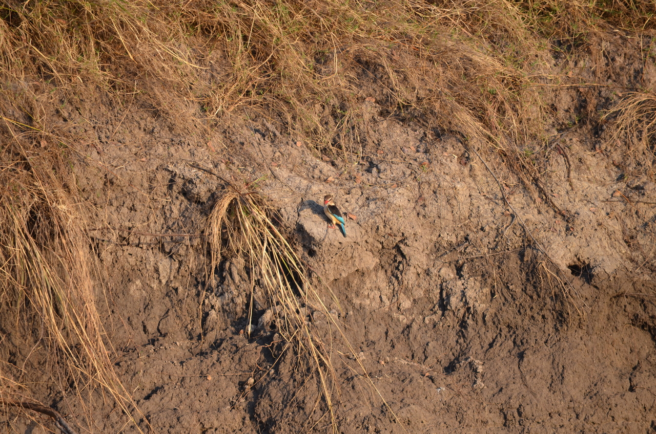 [27838] 2016_07_02_07_07_41_Africa_NIKON_D5100_IMG__05508.jpg