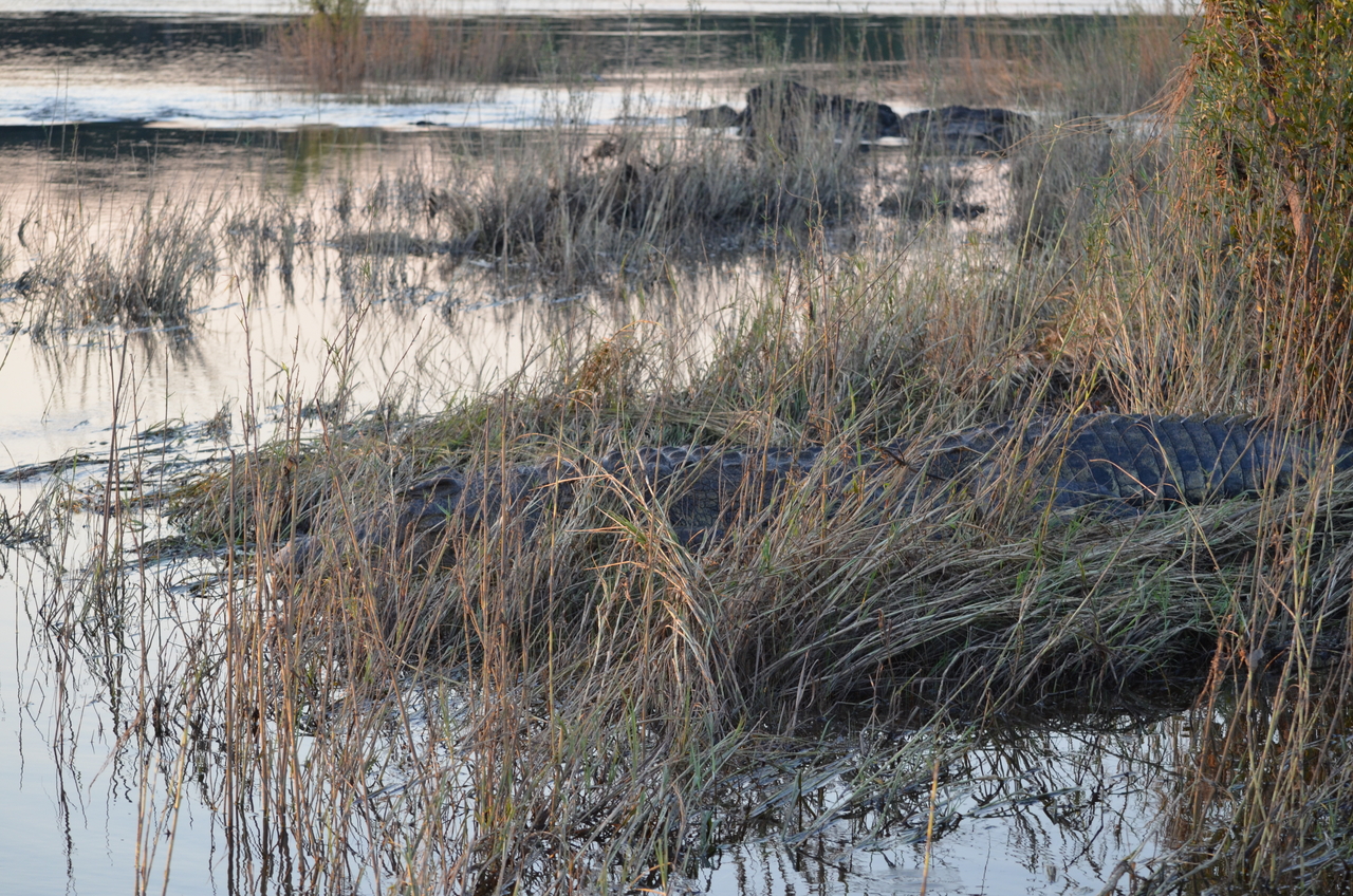 [27854] 2016_07_02_07_45_32_Africa_NIKON_D5100_IMG__05513.jpg