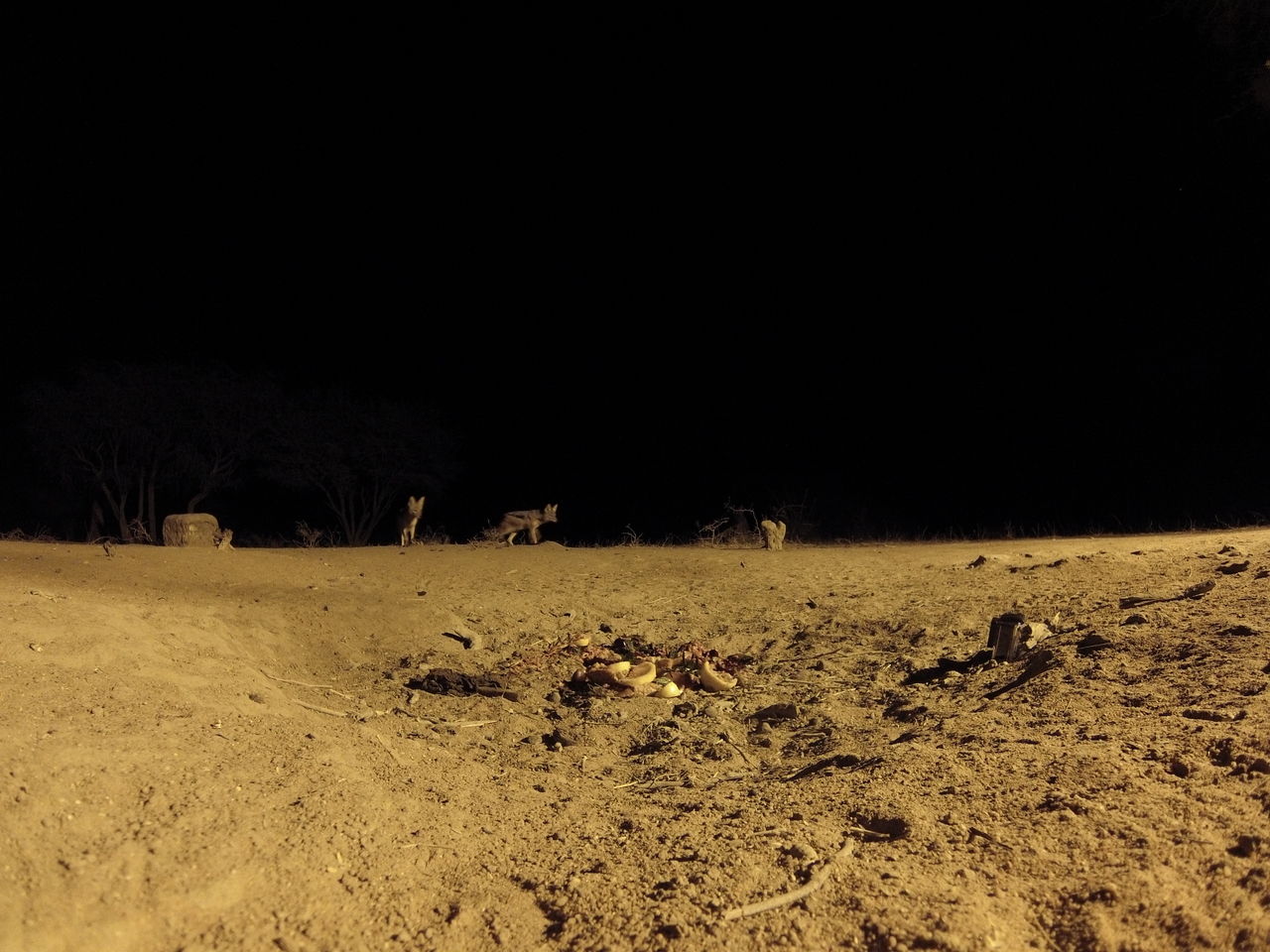 [3822] 2016_06_22_20_45_02_Africa_Hero3-Silver_Edition_IMG__00020.jpg