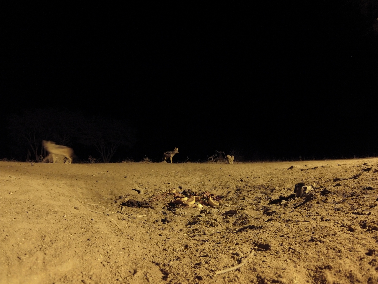 [3825] 2016_06_22_20_45_04_Africa_Hero3-Silver_Edition_IMG__00469.jpg