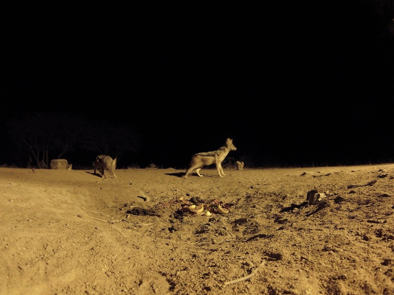 [3833] 2016_06_22_20_45_18_Africa_Hero3-Silver_Edition_IMG__00473.jpg