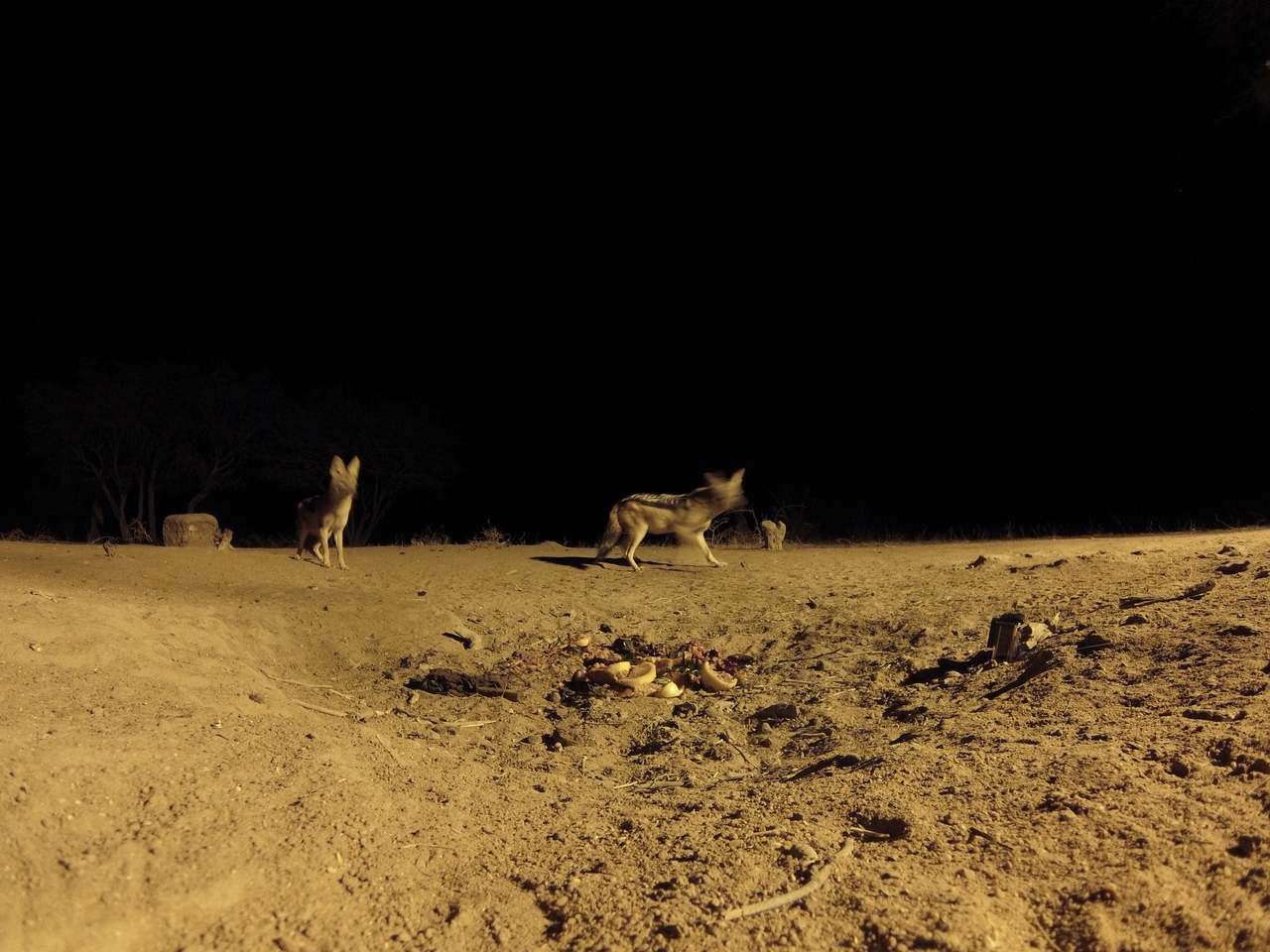 [3837] 2016_06_22_20_45_24_Africa_Hero3-Silver_Edition_IMG__00475.jpg