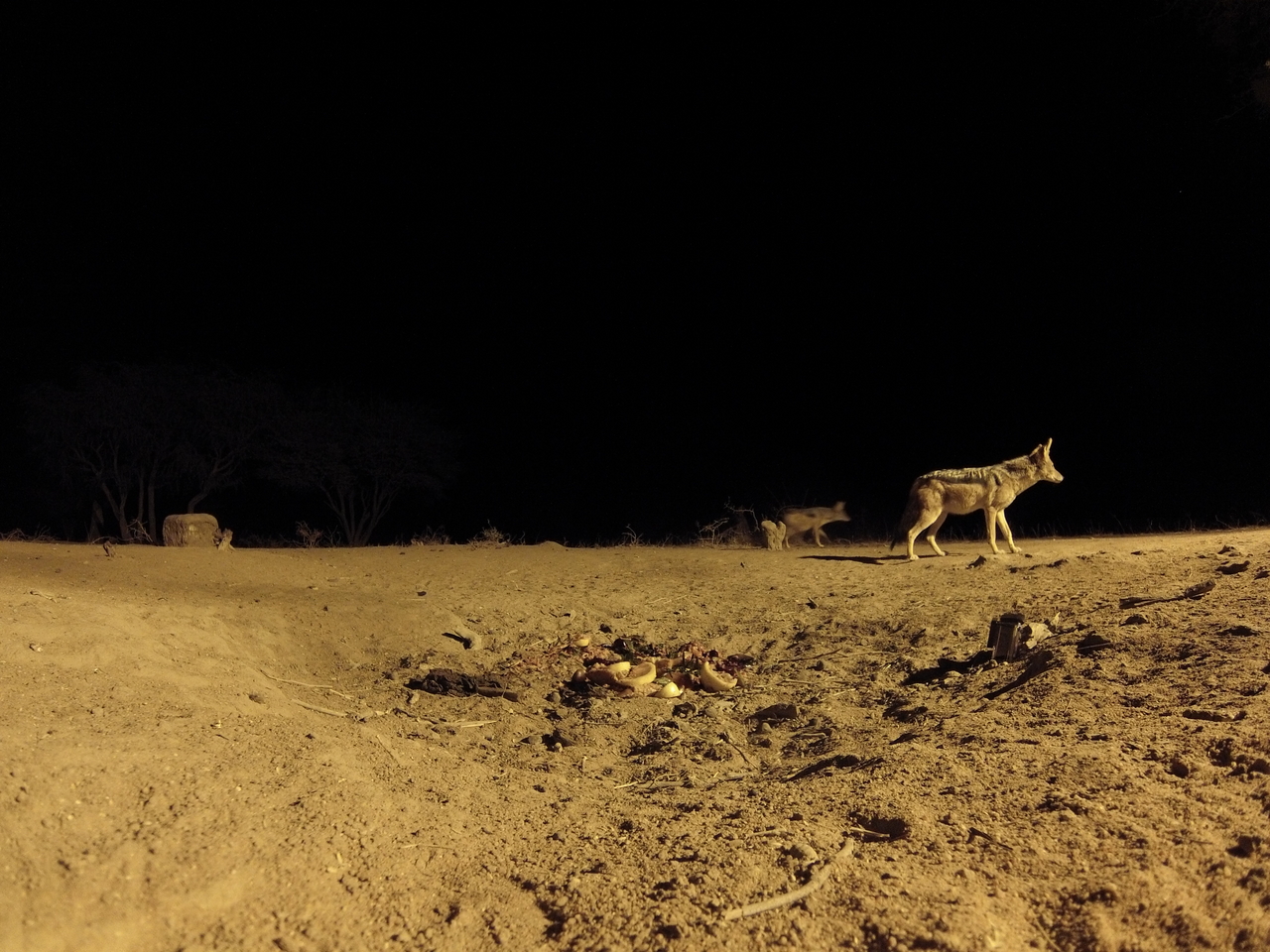 [3847] 2016_06_22_20_45_40_Africa_Hero3-Silver_Edition_IMG__00480.jpg