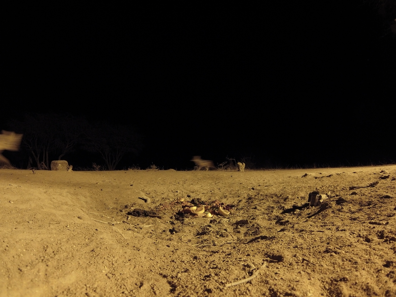 [3851] 2016_06_22_20_45_48_Africa_Hero3-Silver_Edition_IMG__00482.jpg