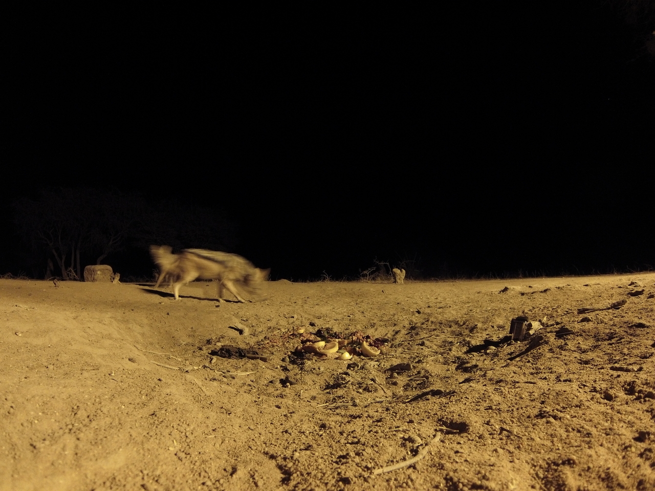 [3852] 2016_06_22_20_45_50_Africa_Hero3-Silver_Edition_IMG__00035.jpg