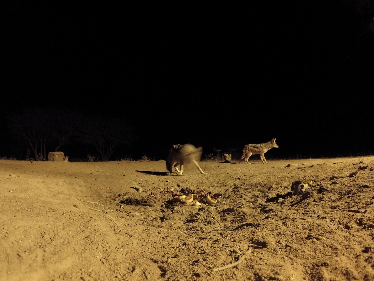 [3857] 2016_06_22_20_45_56_Africa_Hero3-Silver_Edition_IMG__00485.jpg