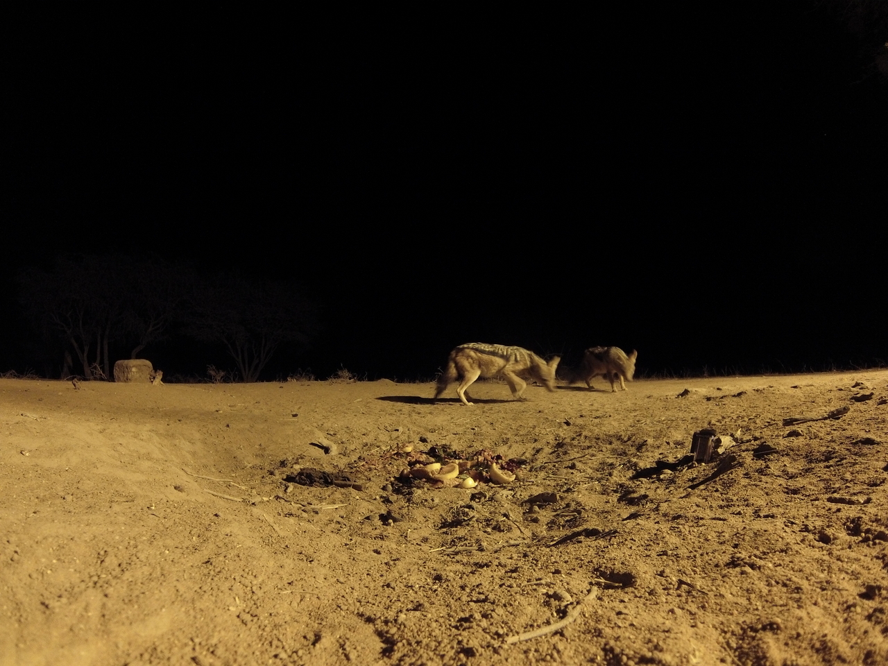 [3859] 2016_06_22_20_45_58_Africa_Hero3-Silver_Edition_IMG__00486.jpg