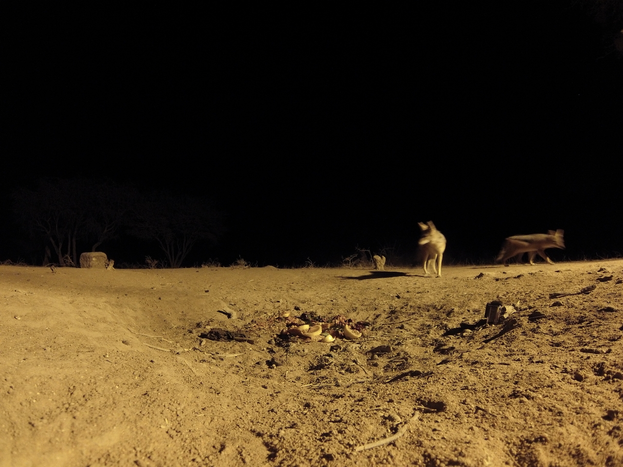 [3860] 2016_06_22_20_46_02_Africa_Hero3-Silver_Edition_IMG__00039.jpg