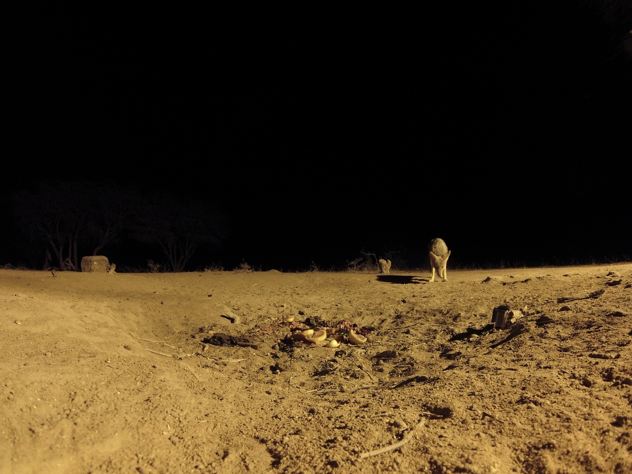 [3863] 2016_06_22_20_46_06_Africa_Hero3-Silver_Edition_IMG__00488.jpg