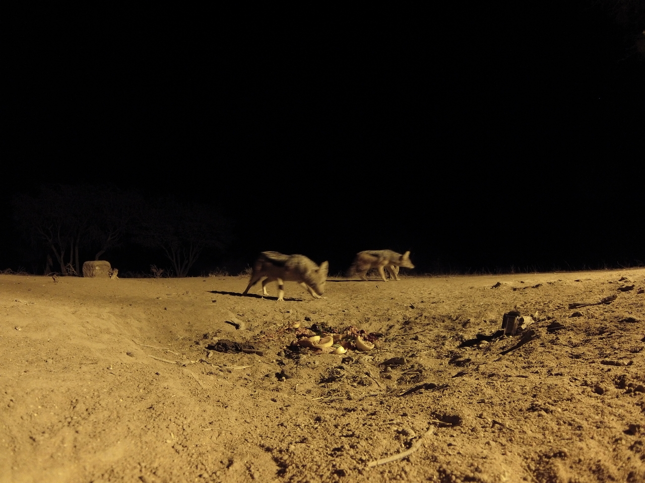 [3870] 2016_06_22_20_46_20_Africa_Hero3-Silver_Edition_IMG__00044.jpg