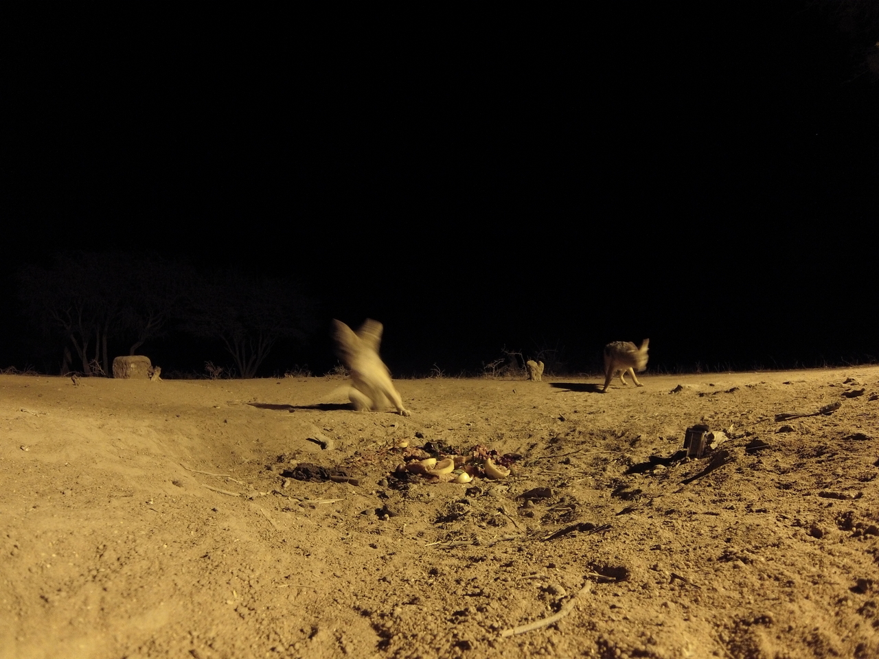 [3874] 2016_06_22_20_46_26_Africa_Hero3-Silver_Edition_IMG__00046.jpg