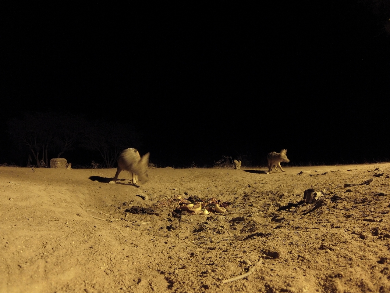 [3876] 2016_06_22_20_46_28_Africa_Hero3-Silver_Edition_IMG__00047.jpg