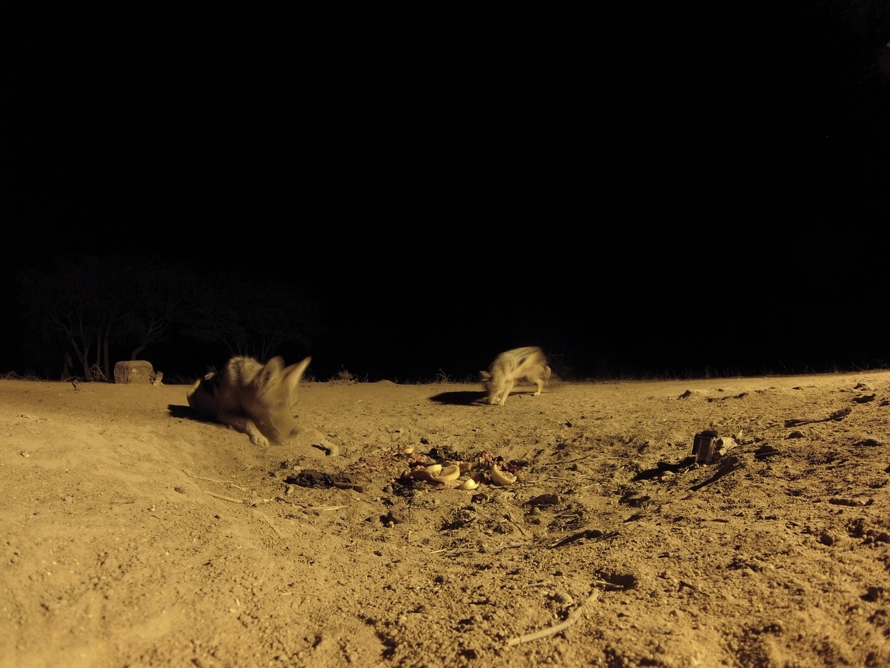 [3880] 2016_06_22_20_46_34_Africa_Hero3-Silver_Edition_IMG__00049.jpg