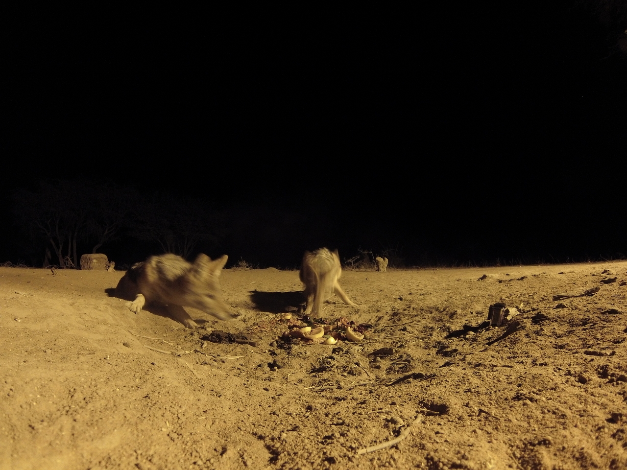 [3886] 2016_06_22_20_46_44_Africa_Hero3-Silver_Edition_IMG__00052.jpg