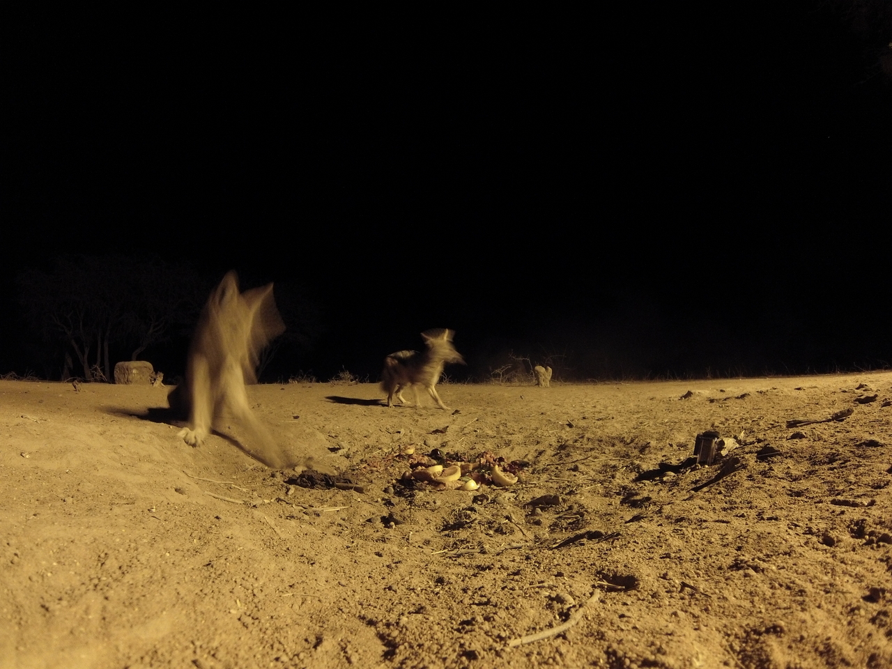 [3889] 2016_06_22_20_46_48_Africa_Hero3-Silver_Edition_IMG__00501.jpg