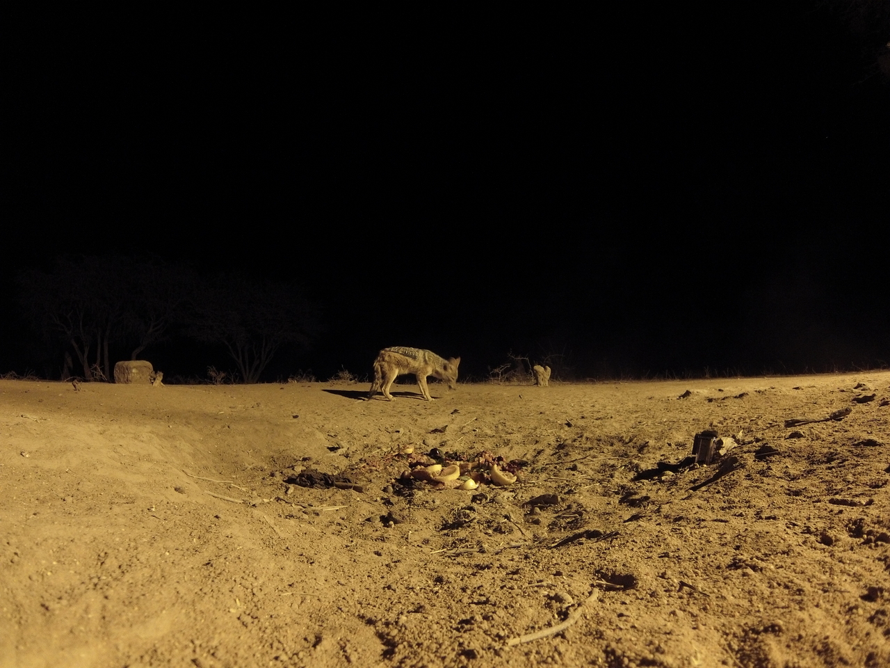 [3895] 2016_06_22_20_46_58_Africa_Hero3-Silver_Edition_IMG__00504.jpg