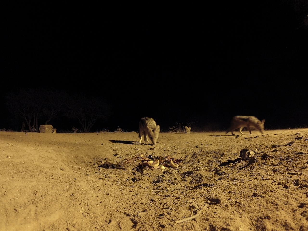 [3898] 2016_06_22_20_47_04_Africa_Hero3-Silver_Edition_IMG__00058.jpg