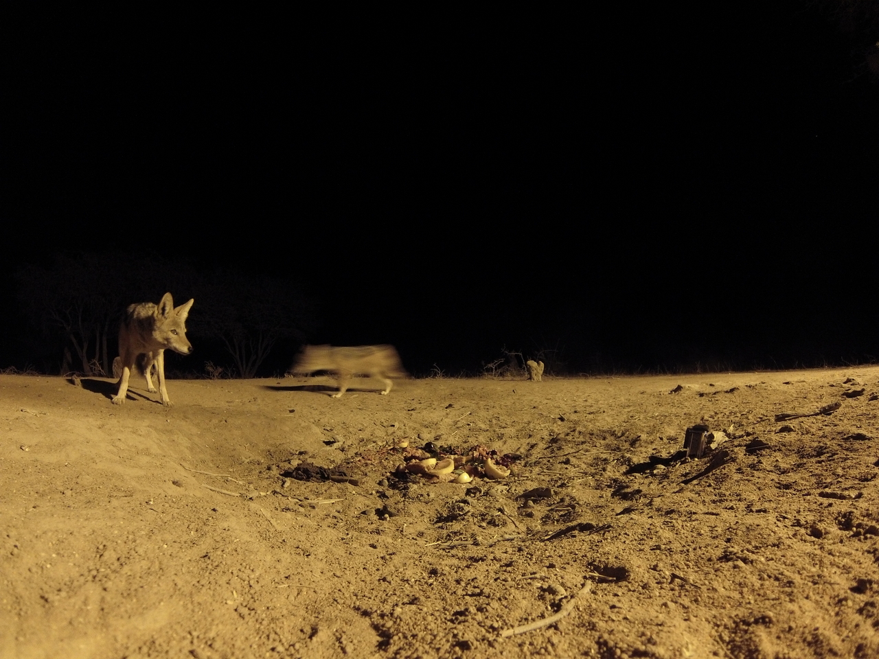 [3905] 2016_06_22_20_47_12_Africa_Hero3-Silver_Edition_IMG__00509.jpg