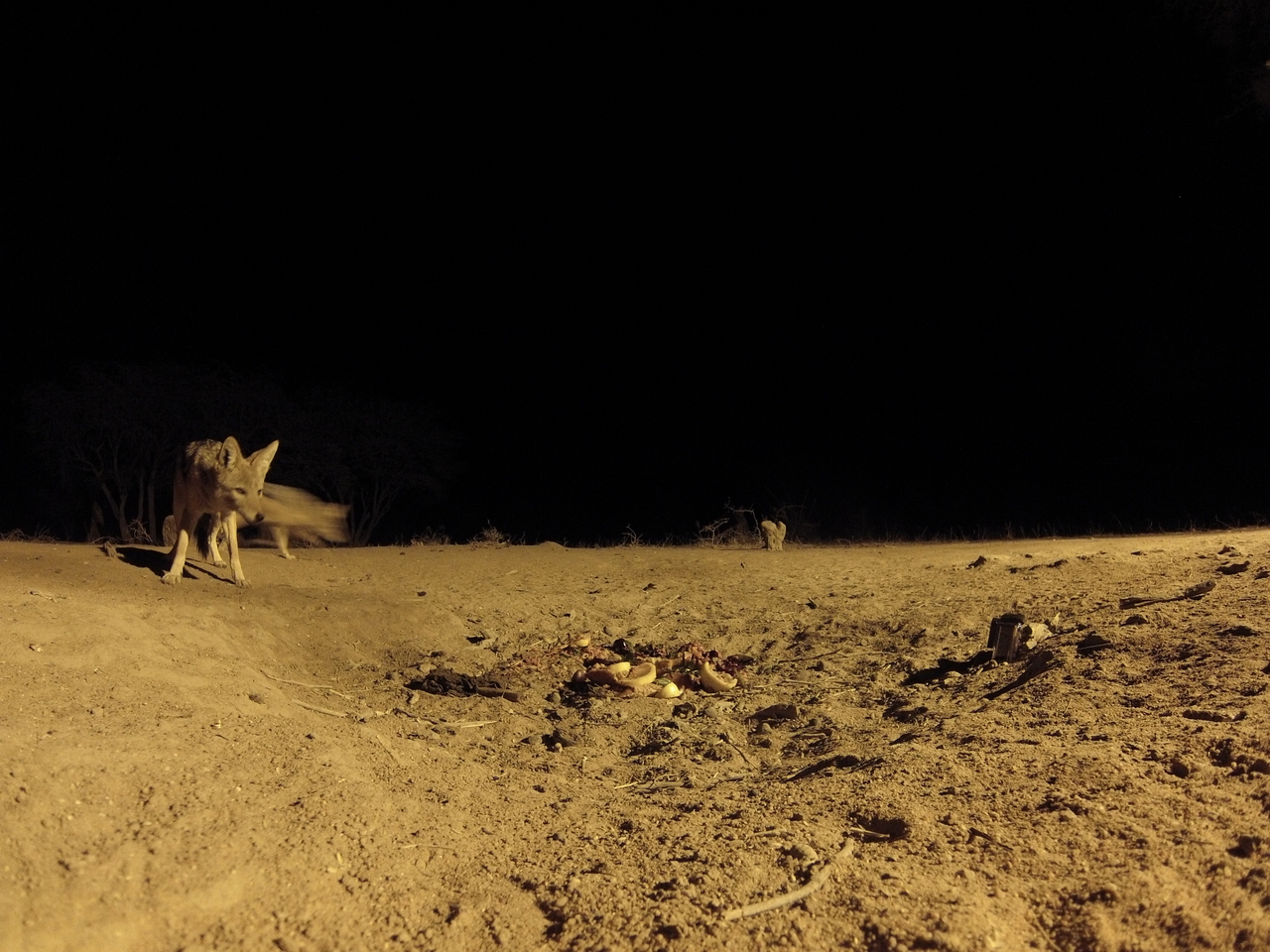 [3908] 2016_06_22_20_47_18_Africa_Hero3-Silver_Edition_IMG__00063.jpg