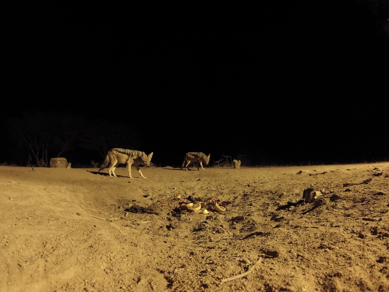 [3910] 2016_06_22_20_47_22_Africa_Hero3-Silver_Edition_IMG__00064.jpg