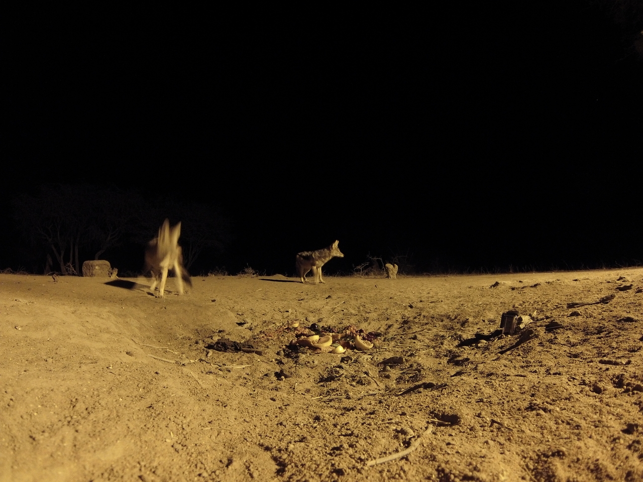 [3913] 2016_06_22_20_47_26_Africa_Hero3-Silver_Edition_IMG__00513.jpg