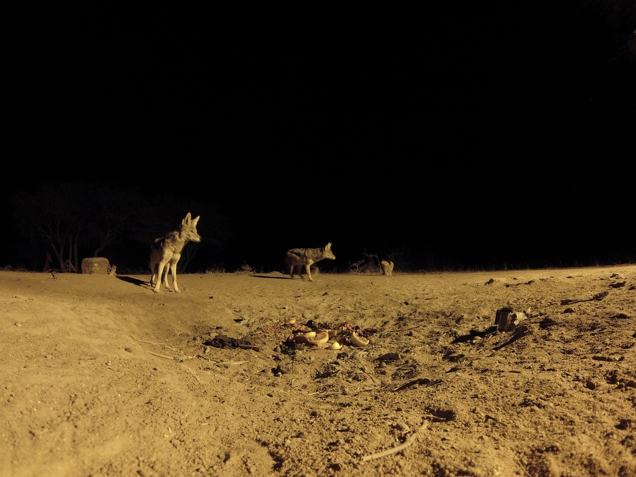 [3915] 2016_06_22_20_47_30_Africa_Hero3-Silver_Edition_IMG__00514.jpg