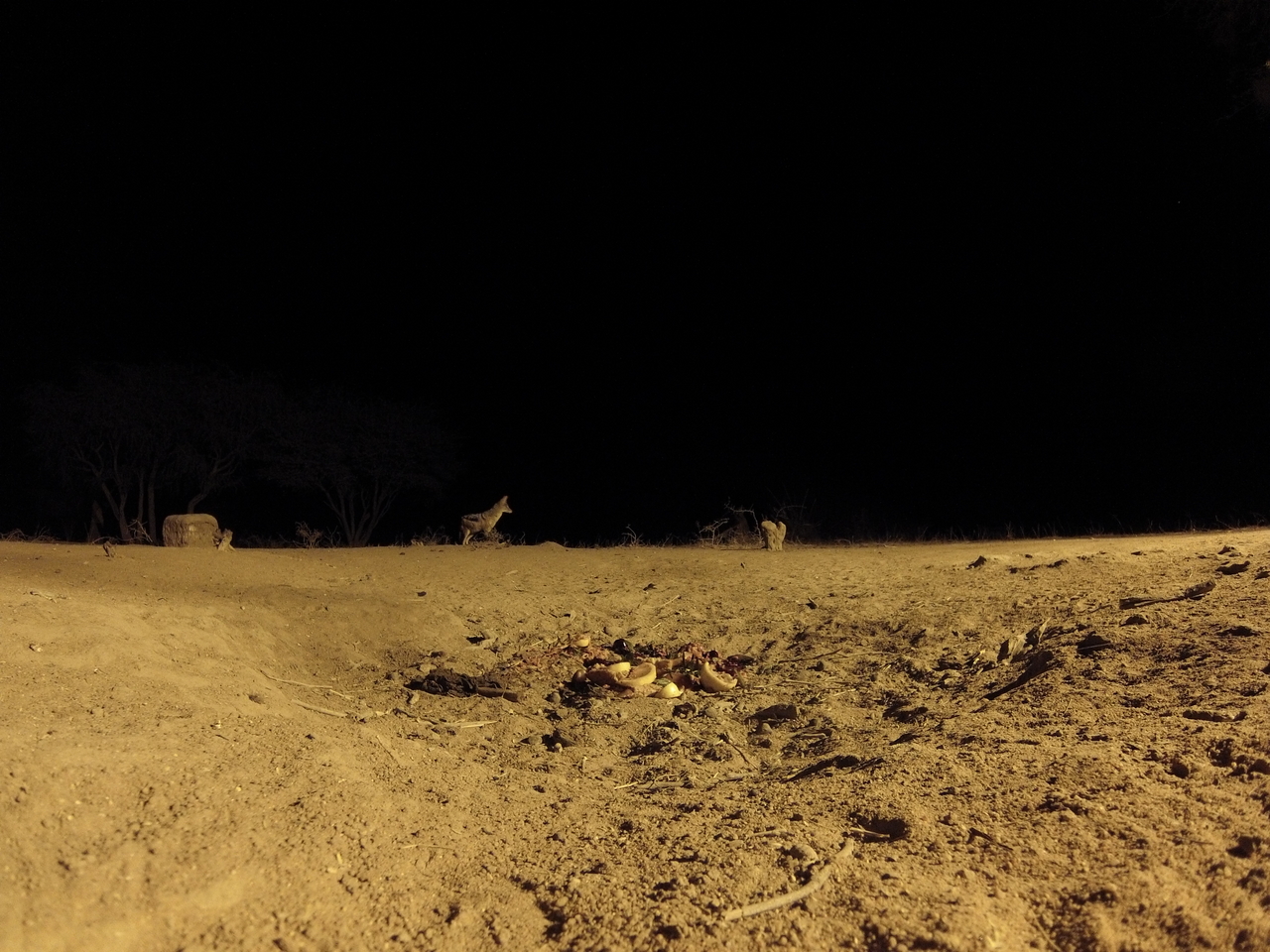 [3971] 2016_06_22_20_49_00_Africa_Hero3-Silver_Edition_IMG__00542.jpg