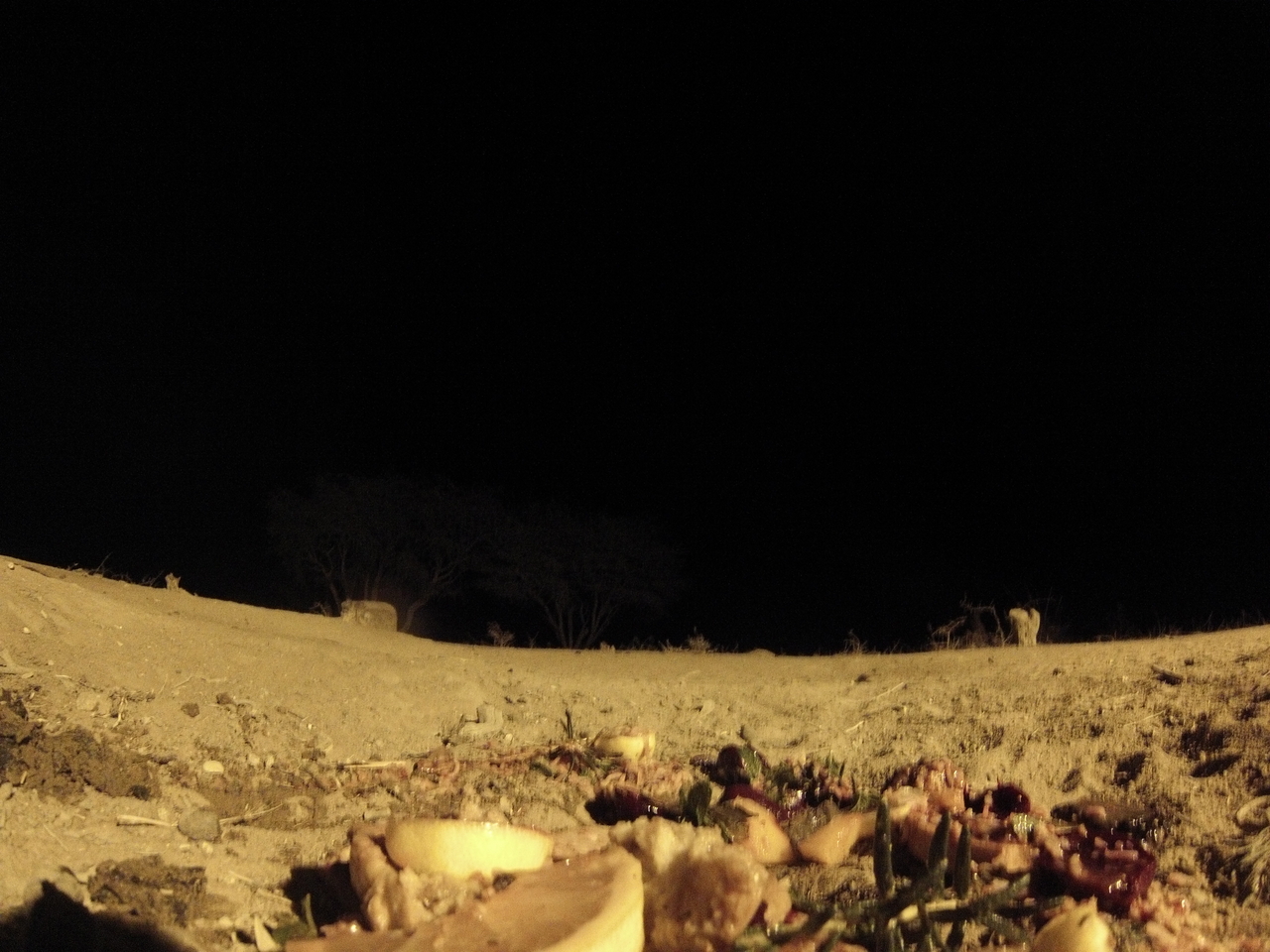 [3991] 2016_06_22_20_49_35_Africa_Hero3-Silver_Edition_IMG__00552.jpg