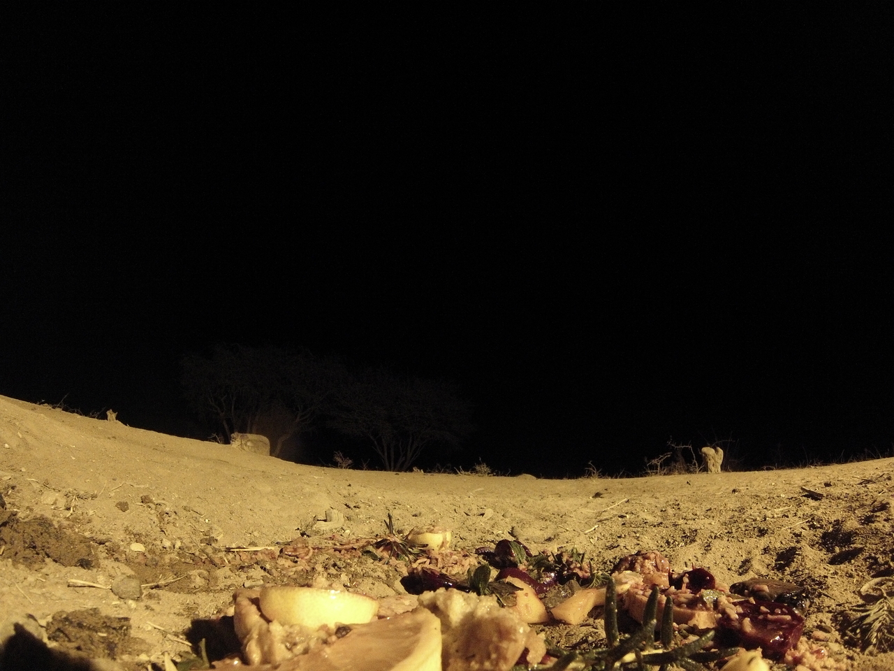 [3995] 2016_06_22_20_49_41_Africa_Hero3-Silver_Edition_IMG__00554.jpg