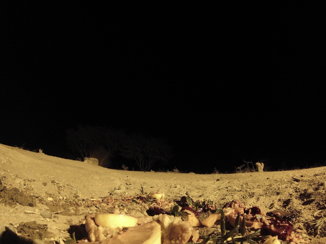 [3999] 2016_06_22_20_49_45_Africa_Hero3-Silver_Edition_IMG__00556.jpg