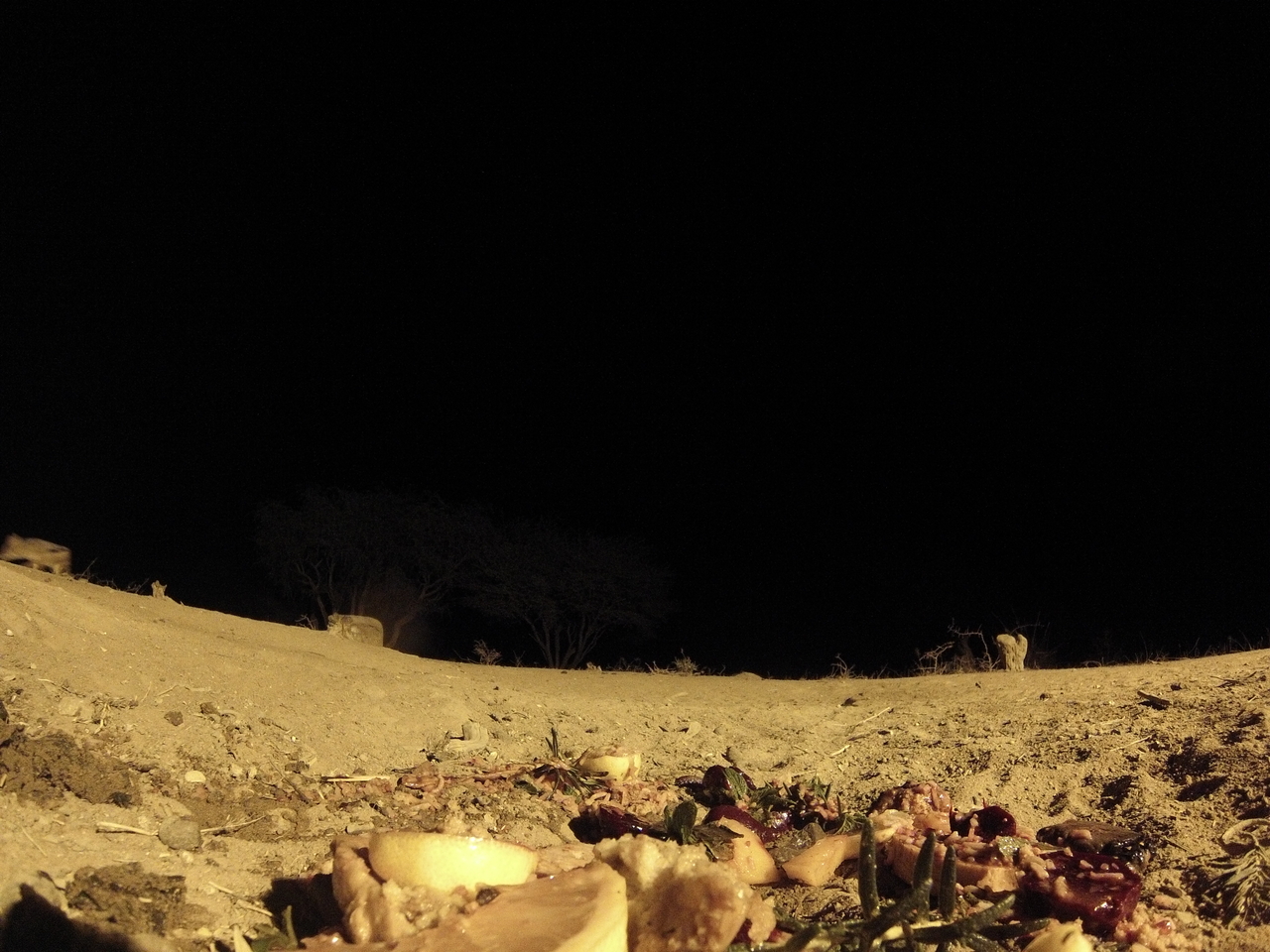 [4006] 2016_06_22_20_49_57_Africa_Hero3-Silver_Edition_IMG__00112.jpg