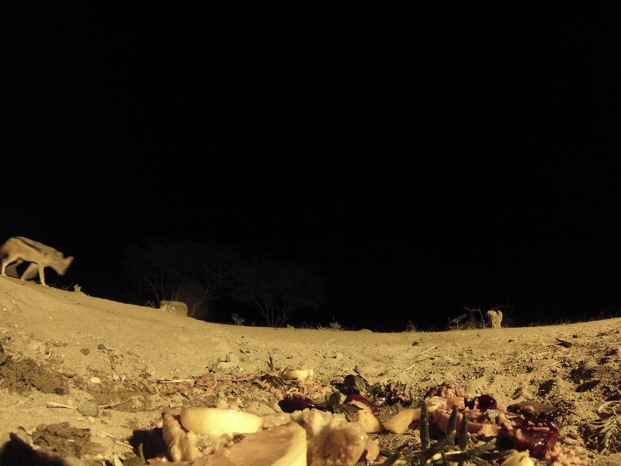 [4011] 2016_06_22_20_50_01_Africa_Hero3-Silver_Edition_IMG__00562.jpg