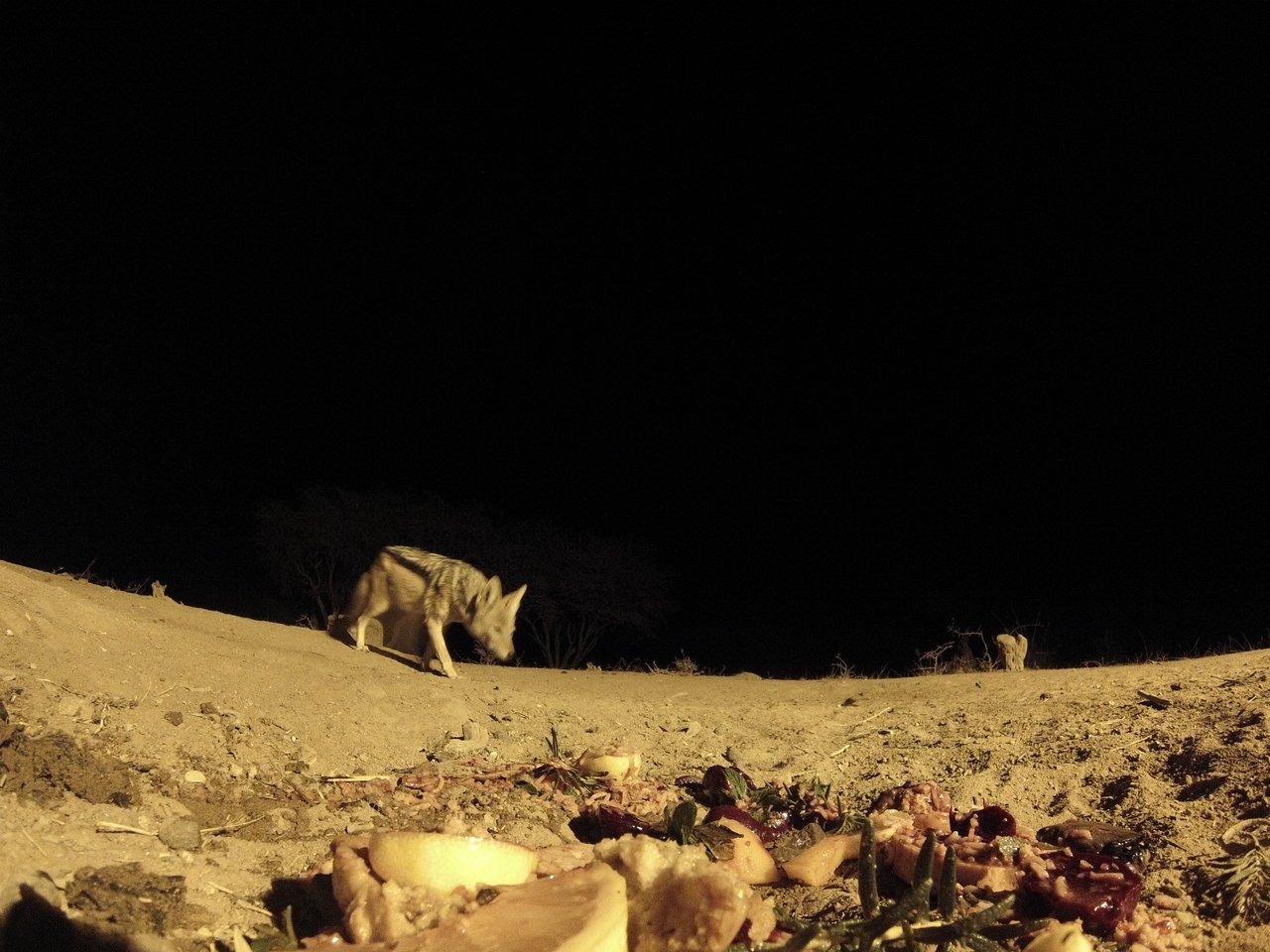 [4012] 2016_06_22_20_50_05_Africa_Hero3-Silver_Edition_IMG__00115.jpg