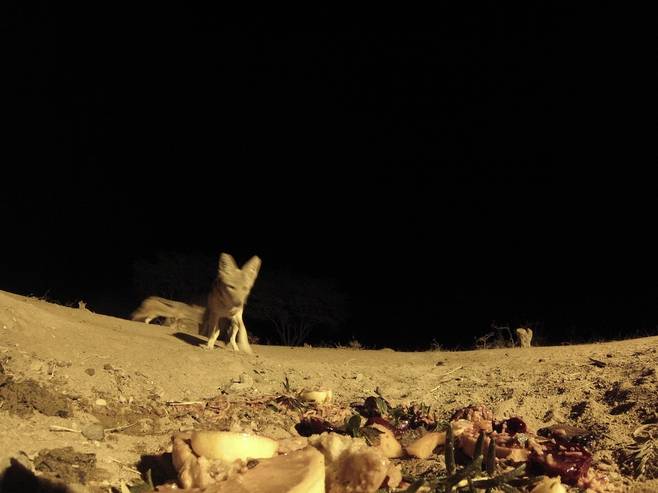 [4016] 2016_06_22_20_50_09_Africa_Hero3-Silver_Edition_IMG__00117.jpg