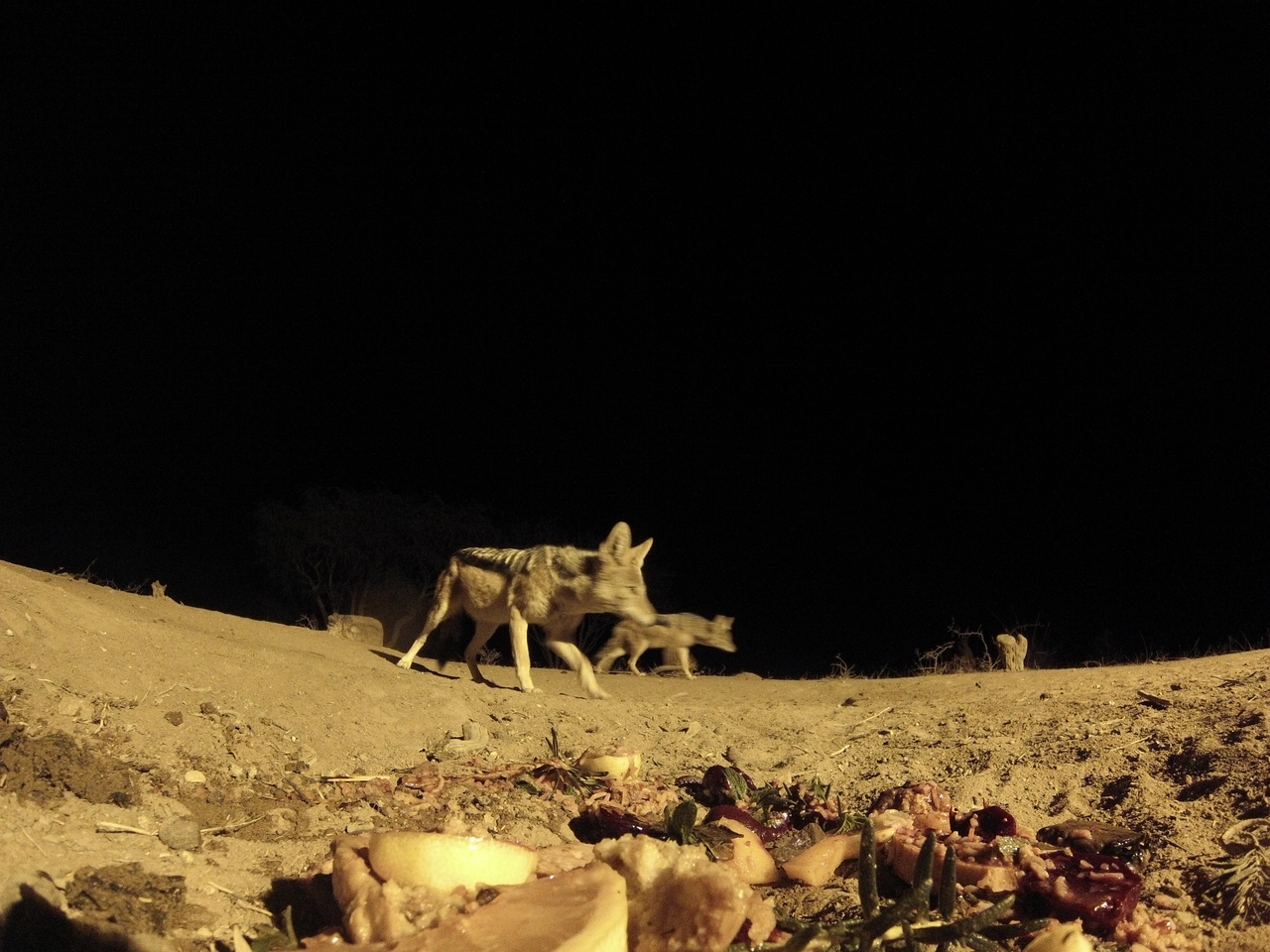 [4019] 2016_06_22_20_50_11_Africa_Hero3-Silver_Edition_IMG__00566.jpg