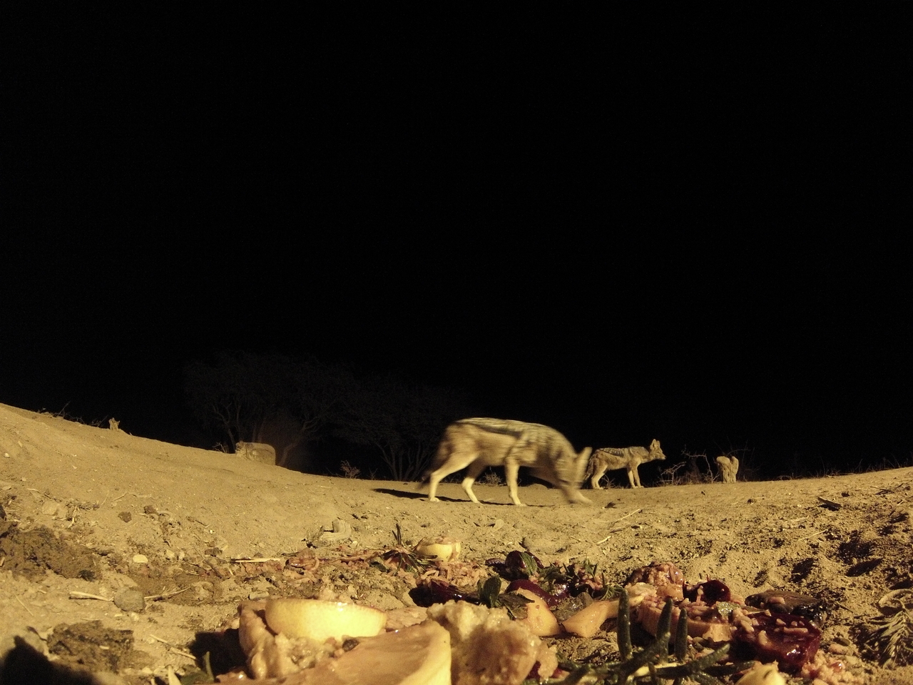 [4020] 2016_06_22_20_50_15_Africa_Hero3-Silver_Edition_IMG__00119.jpg