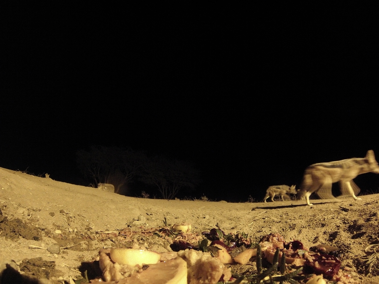 [4023] 2016_06_22_20_50_17_Africa_Hero3-Silver_Edition_IMG__00568.jpg