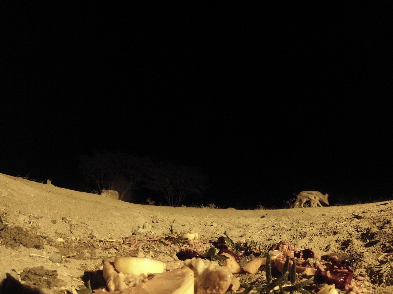 [4025] 2016_06_22_20_50_19_Africa_Hero3-Silver_Edition_IMG__00569.jpg