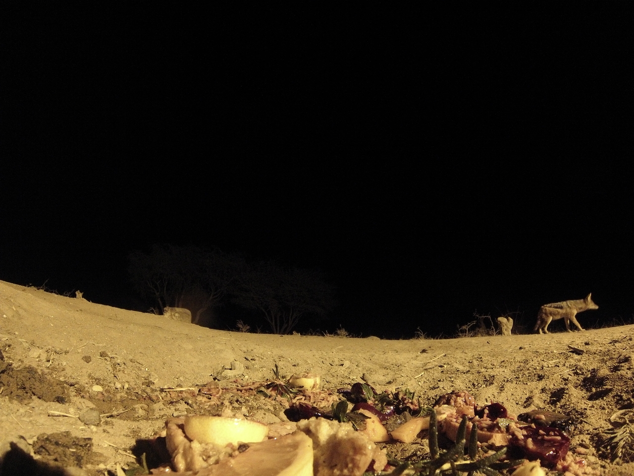 [4027] 2016_06_22_20_50_21_Africa_Hero3-Silver_Edition_IMG__00570.jpg