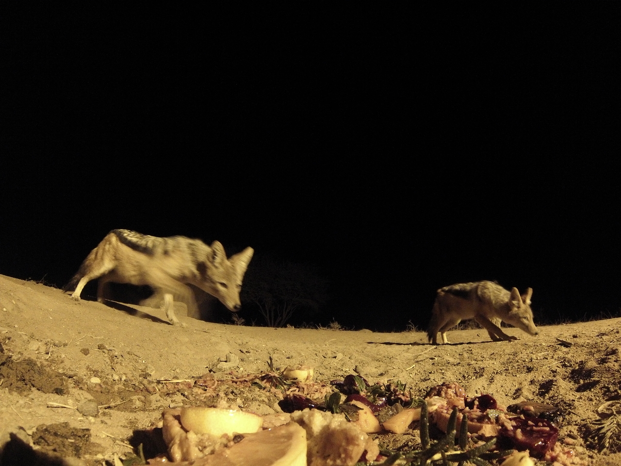 [4037] 2016_06_22_20_50_37_Africa_Hero3-Silver_Edition_IMG__00575.jpg