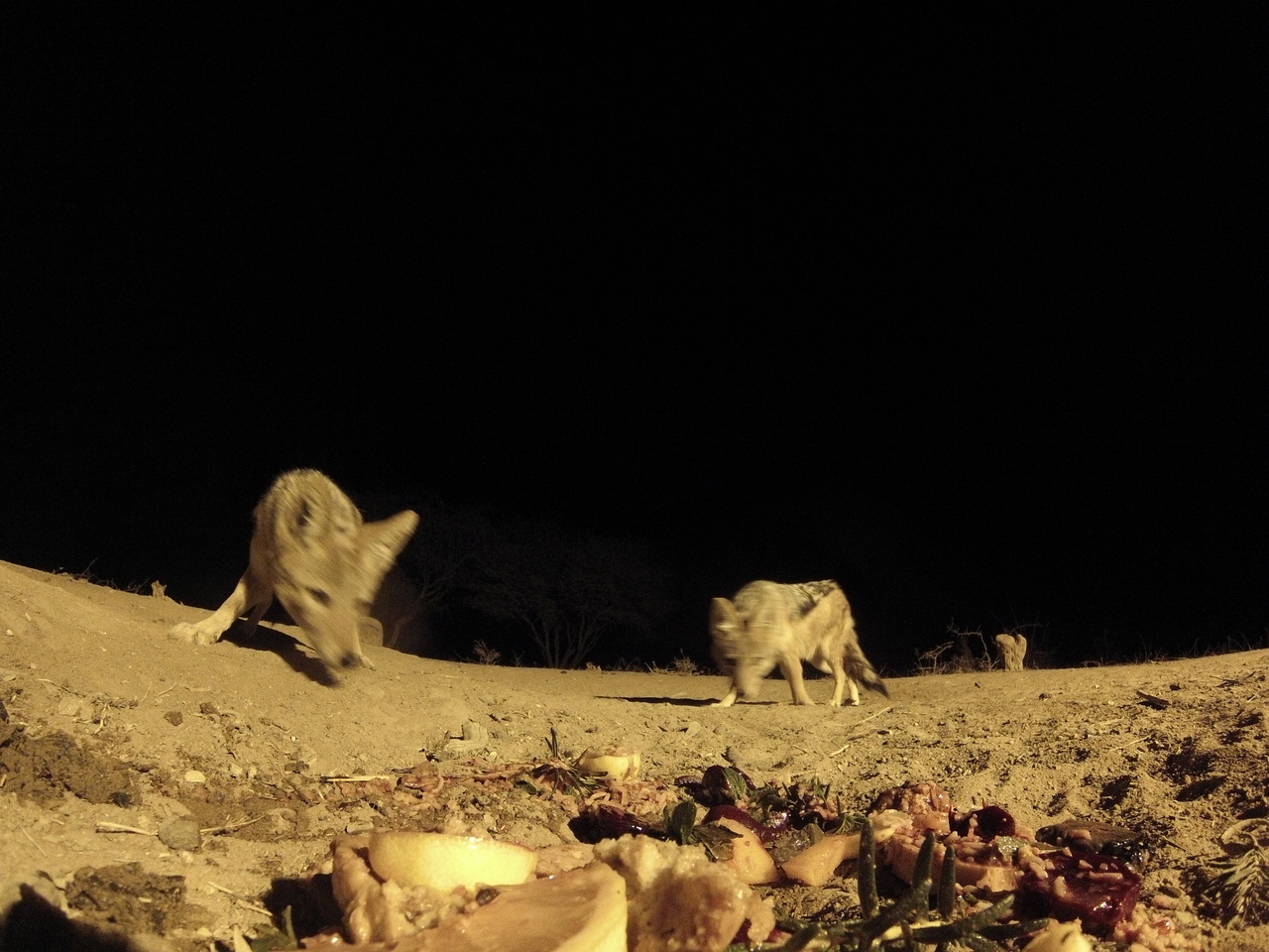 [4042] 2016_06_22_20_50_47_Africa_Hero3-Silver_Edition_IMG__00130.jpg